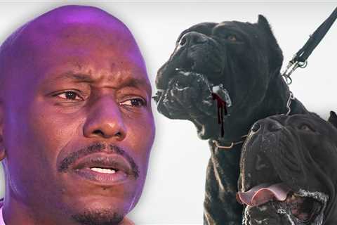 Dogs Maul Neighbor’s Pet to Death: Tyrese Wanted by Police