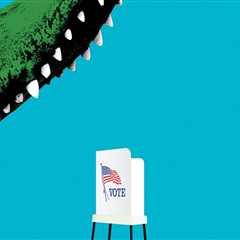 The Impact of Voter Turnout in Central Florida