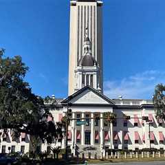 The Unique Political Landscape of Central Florida: An Expert's Perspective