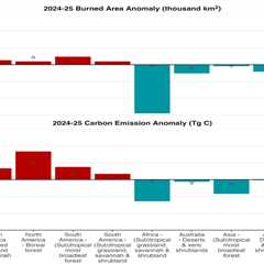 Global wildfires burned an area of land larger than India in 2024