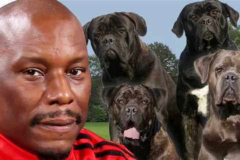 Killer Dogs’ Location Remains a Mystery to Police