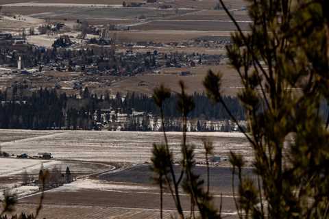 The Urban-Rural Divide in Western Oregon: An Expert's Perspective