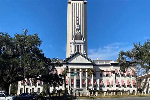 The Unique Political Landscape of Central Florida: An Expert's Perspective