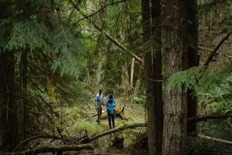 The Age Limit for Attending Food Events in King County, Washington: What You Need to Know