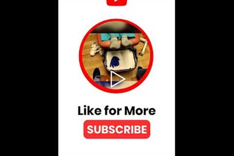 Family, Friends, and Life Lessons