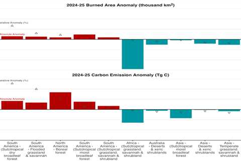 Global wildfires burned an area of land larger than India in 2024