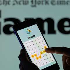 Elon Musk’s Remark on Zohran Mamdani Sparks NYC Election Debate