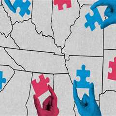 The Impact of Gerrymandering on Political Activities in Northern Virginia: An Expert's Perspective