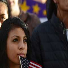 The Impact of Demographics on Political Activities in Northern Virginia: An Expert's Perspective