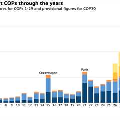 Analysis: Which countries have sent the most delegates to COP30?