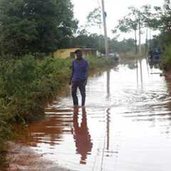 Bad COP to good COP: Blocking fossil-fueled disinformation in Belém and beyond