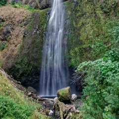 The Power of Political Advocacies in Multnomah County, Oregon: Empowering Marginalized Communities