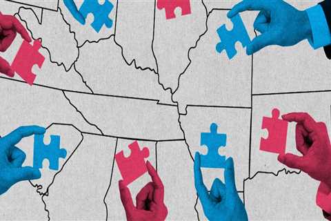 The Impact of Gerrymandering on Political Activities in Northern Virginia: An Expert's Perspective