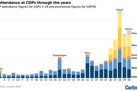 Analysis: Which countries have sent the most delegates to COP30?