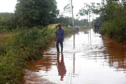 Bad COP to good COP: Blocking fossil-fueled disinformation in Belém and beyond