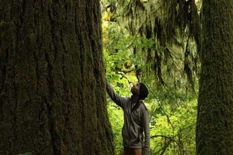 The Importance of Diversity and Inclusion for Public Servants in Western Oregon