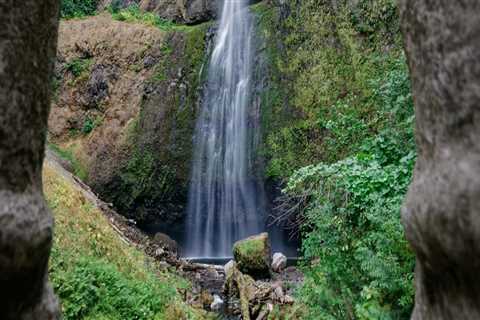The Power of Political Advocacies in Multnomah County, Oregon: Empowering Marginalized Communities