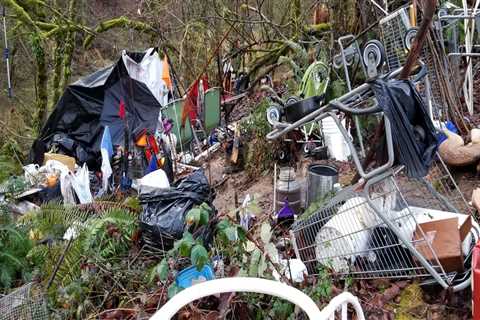 The Crucial Role of Political Advocacies in Addressing Climate Change in Multnomah County, Oregon