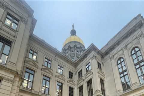 The Power of Political Advocacies in Fayetteville, Georgia