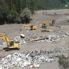 The Efficient Management of Emergency Situations and Natural Disasters by Elected Officials in..