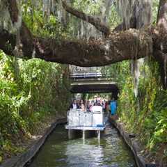 Discovering the Unique and Unusual Sports Events in Central Florida