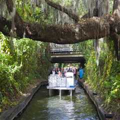 Expert Tips for Navigating Parking at Sports Events in Central Florida