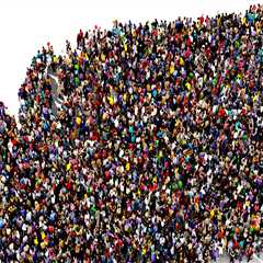 The Crucial Role of Political Parties in Voting Campaigns in North Central Texas