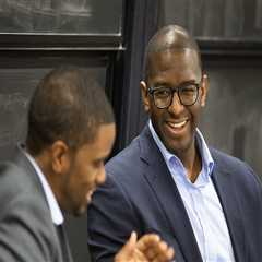 The Power of Political Advertising in Hillsborough County Elections