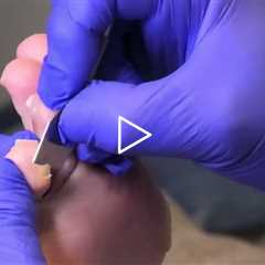 Chunk and Gunk #27  Highlight