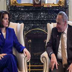 The Role of Political Consultants and Strategists in Shaping Election Campaigns in North Central..