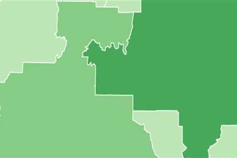 The Changing Demographics of Voters in Mobile, Alabama