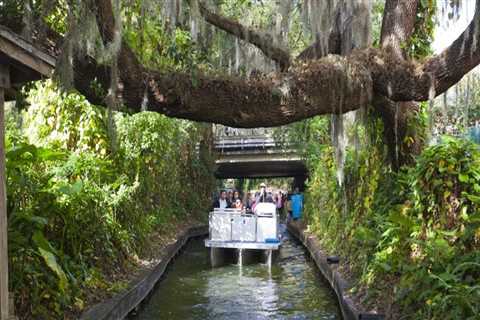 Discovering the Unique and Unusual Sports Events in Central Florida