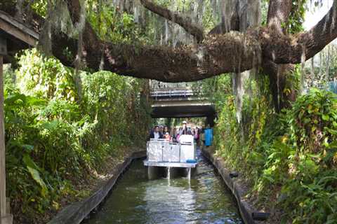 Expert Tips for Navigating Parking at Sports Events in Central Florida