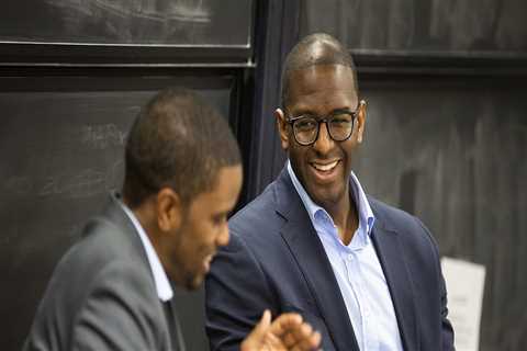 The Power of Political Advertising in Hillsborough County Elections