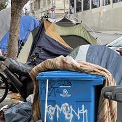 Liberals Compare Trump’s Plan Requiring Treatment or Work for Housing to the Holocaust