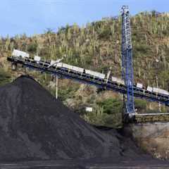 Power play: Can a defensive Europe stick with decarbonisation in Davos?