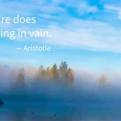 Earth911 Inspiration: Nothing In Vain