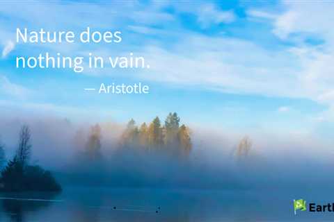 Earth911 Inspiration: Nothing In Vain