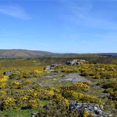 Rush for critical minerals tests Europe’s resolve to protect nature