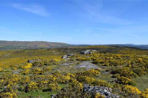 Rush for critical minerals tests Europe’s resolve to protect nature