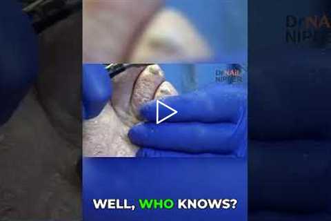 Timeshare Destroyed Getting a Refund