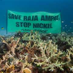 How can we make the energy transition fair and sustainable?