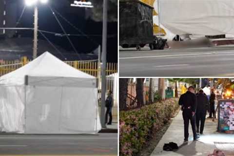 Horror in Los Angeles: Man Dies from Gruesome Self-Mutilation, Including Cutting Off His Own Penis, ..