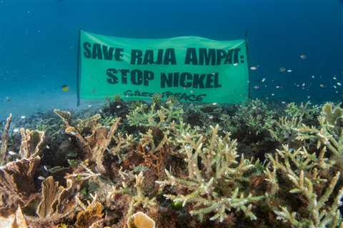 How can we make the energy transition fair and sustainable?