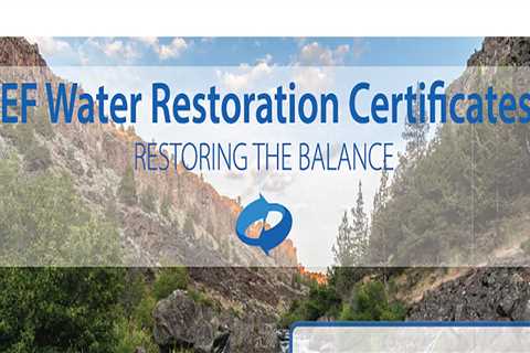 The 2026 Complete Guide to Water Credits (WRCs)