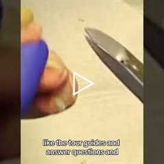 She loves her job at the Bell Museum, working with educators and sharing her passion!