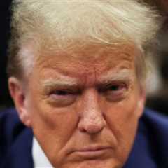 Trump Pushes Skeptical House Republicans to Pass FISA Extension: ‘It Is Extremely Important to Our..