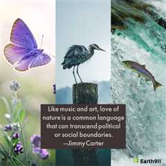 Earth911 Inspiration: Love of Nature Transcends