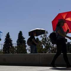 COP31 must persuade countries to make fossil fuel transition plans