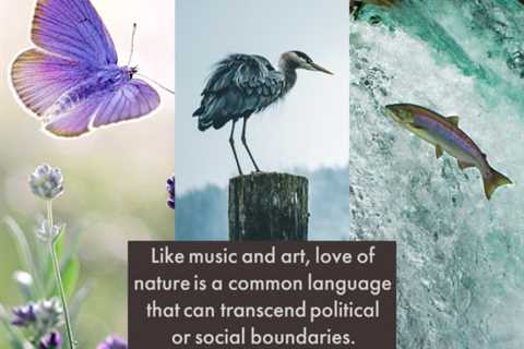 Earth911 Inspiration: Love of Nature Transcends
